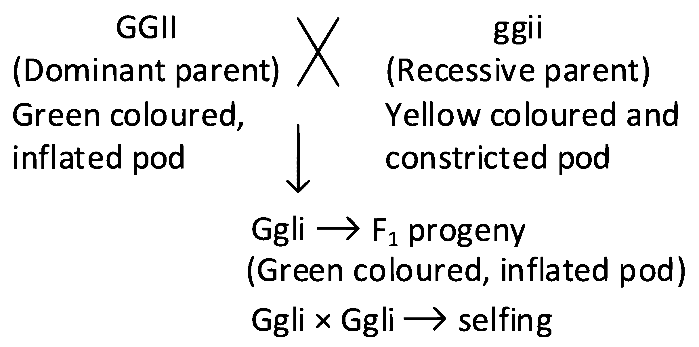 NEET 2022 Phase 2 Biology - Principles of Inheritance and Variation Question 33 English Explanation