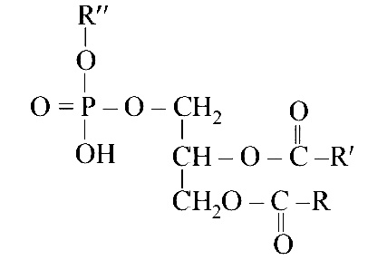 AIPMT 2003 Chemistry - Biomolecules Question 32 English Explanation