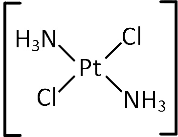 AIPMT 2004 Chemistry - Coordination Compounds Question 39 English Option 4
