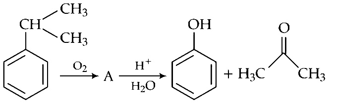 NEET 2019 Chemistry - Alcohol, Phenols and Ethers Question 22 English