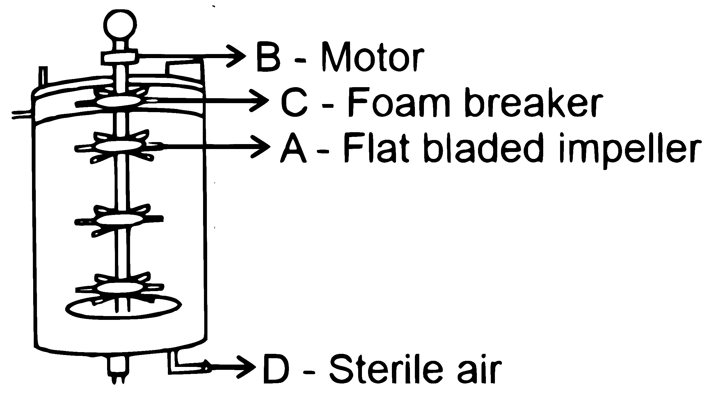 NEET 2025 Biology - Biotechnology: Principles and Processes Question 13 English Explanation