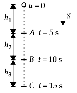 NEET 2013 Physics - Motion in a Straight Line Question 38 English Explanation