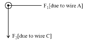 NEET 2017 Physics - Moving Charges and Magnetism Question 80 English Explanation