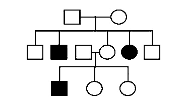 AIPMT 2009 Biology - Principles of Inheritance and Variation Question 126 English