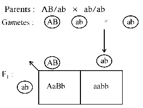 AIPMT 2001 Biology - Principles of Inheritance and Variation Question 83 English Explanation