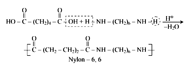 NEET 2016 Phase 2 Chemistry - Polymers Question 12 English Explanation