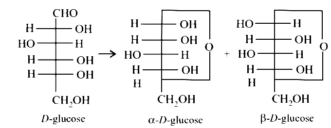 AIPMT 2000 Chemistry - Biomolecules Question 26 English Explanation