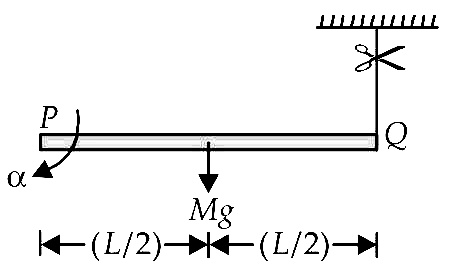 NEET 2013 Physics - Rotational Motion Question 74 English Explanation