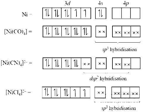 AIPMT 2004 Chemistry - Coordination Compounds Question 58 English Explanation