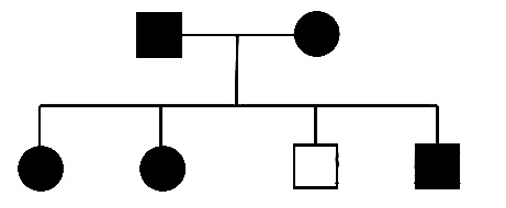 AIPMT 2010 Mains Biology - Principles of Inheritance and Variation Question 133 English