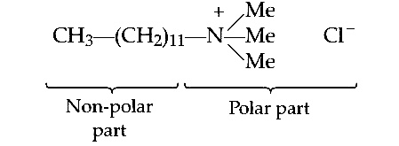 AIPMT 2005 Chemistry - Surface Chemistry Question 15 English Explanation