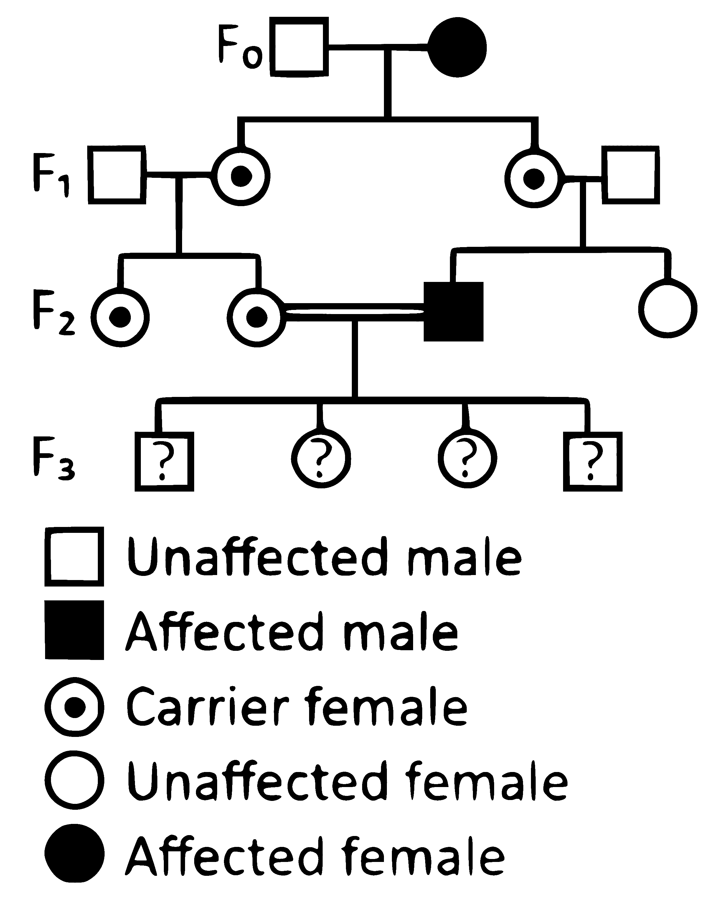 NEET 2025 Biology - Principles of Inheritance and Variation Question 10 English