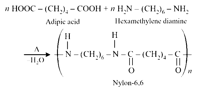 AIPMT 2007 Chemistry - Polymers Question 26 English Explanation