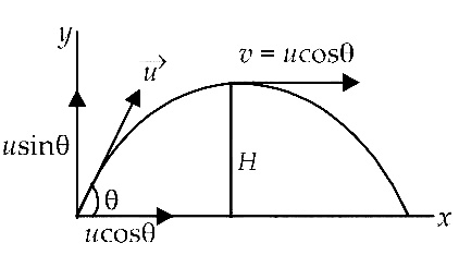 AIPMT 2010 Mains Physics - Motion in a Plane Question 33 English Explanation
