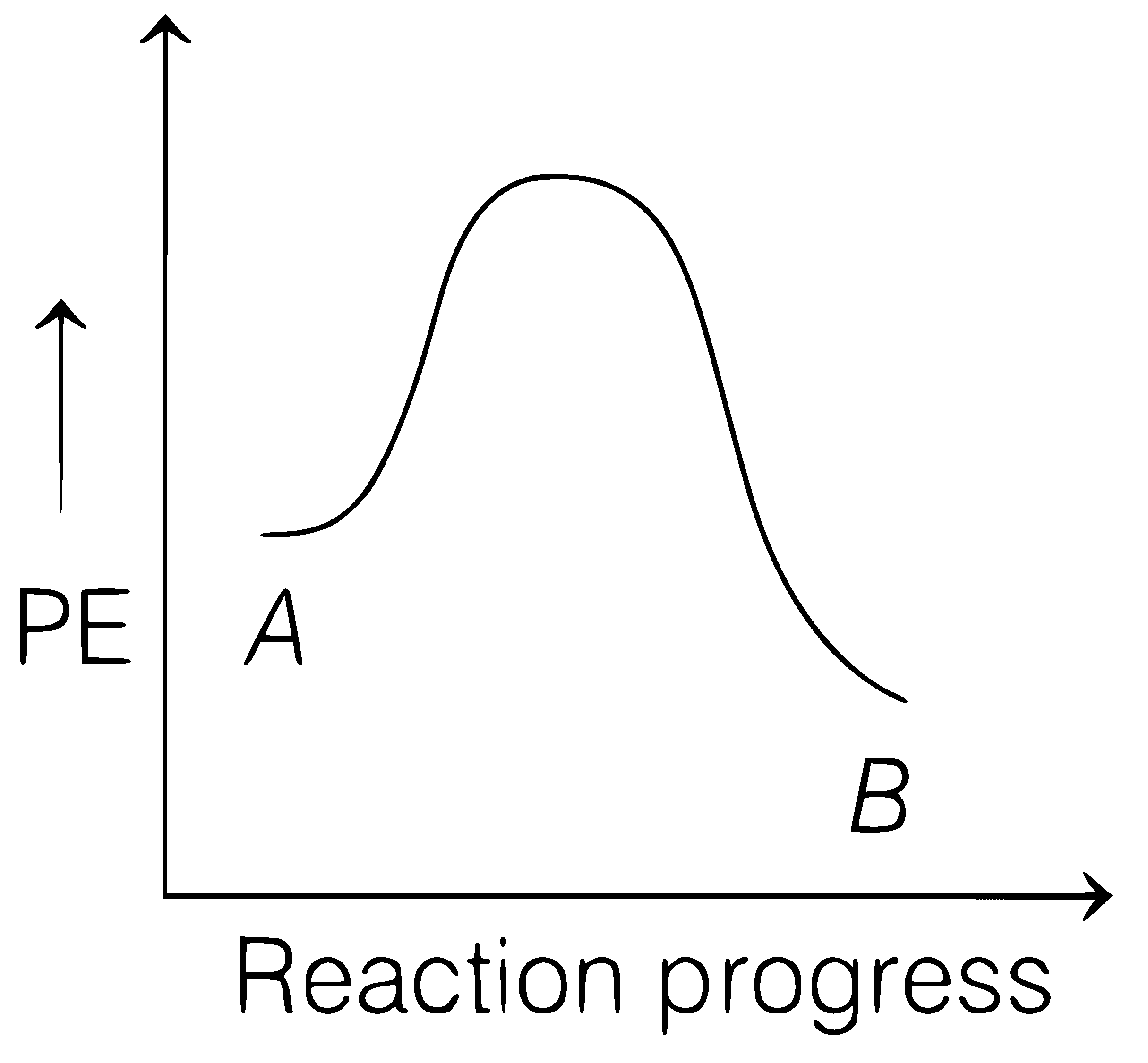 NEET 2021 Chemistry - Chemical Kinetics Question 21 English Option 2