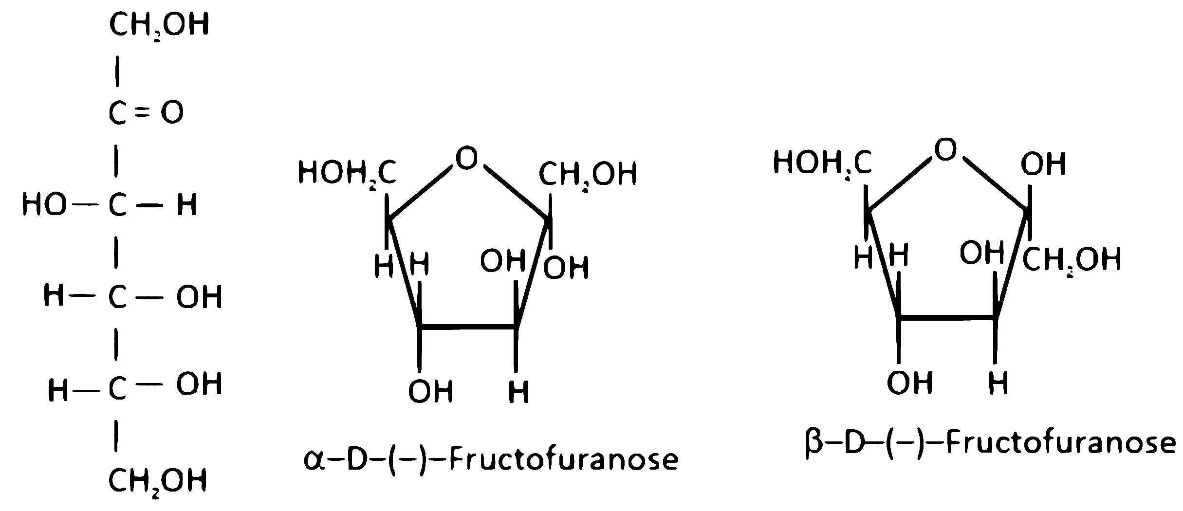 NEET 2025 Chemistry - Biomolecules Question 5 English Explanation