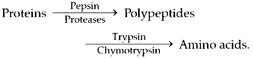 AIPMT 2006 Chemistry - Biomolecules Question 20 English Explanation