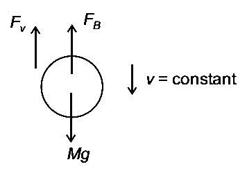 NEET 2021 Physics - Properties of Matter Question 21 English Explanation