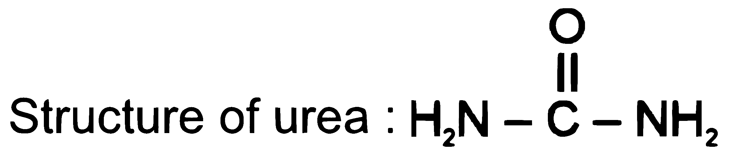 NEET 2026 Chemistry - Some Basic Concepts of Chemistry Question 3 English Explanation