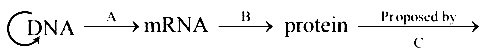 NEET 2013 Biology - Molecular Basis of Inheritance Question 158 English