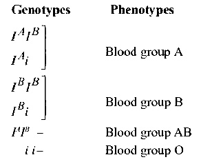 AIPMT 2010 Mains Biology - Principles of Inheritance and Variation Question 134 English Explanation