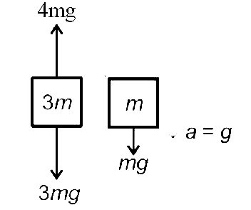 NEET 2017 Physics - Laws of Motion Question 29 English Explanation 2