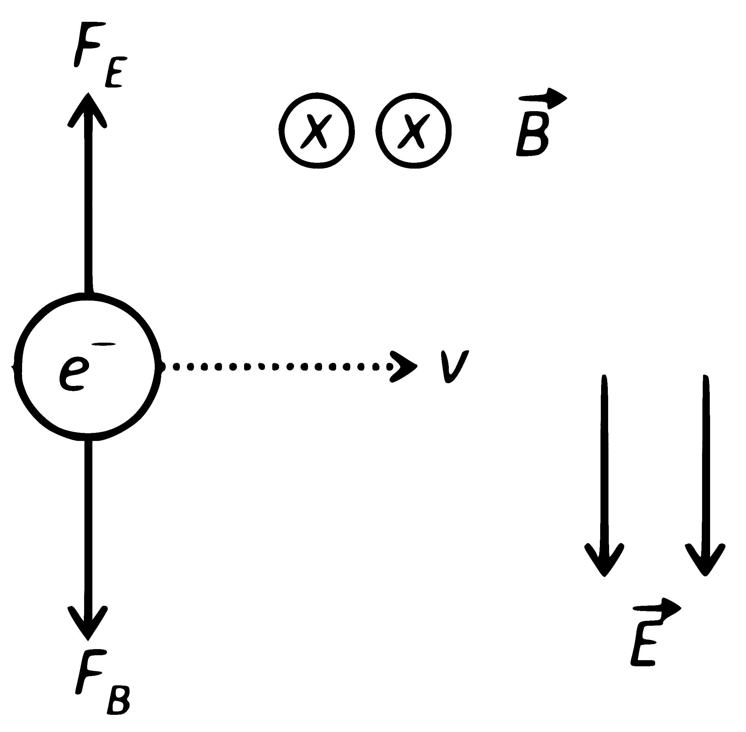 NEET 2025 Physics - Moving Charges and Magnetism Question 5 English Explanation