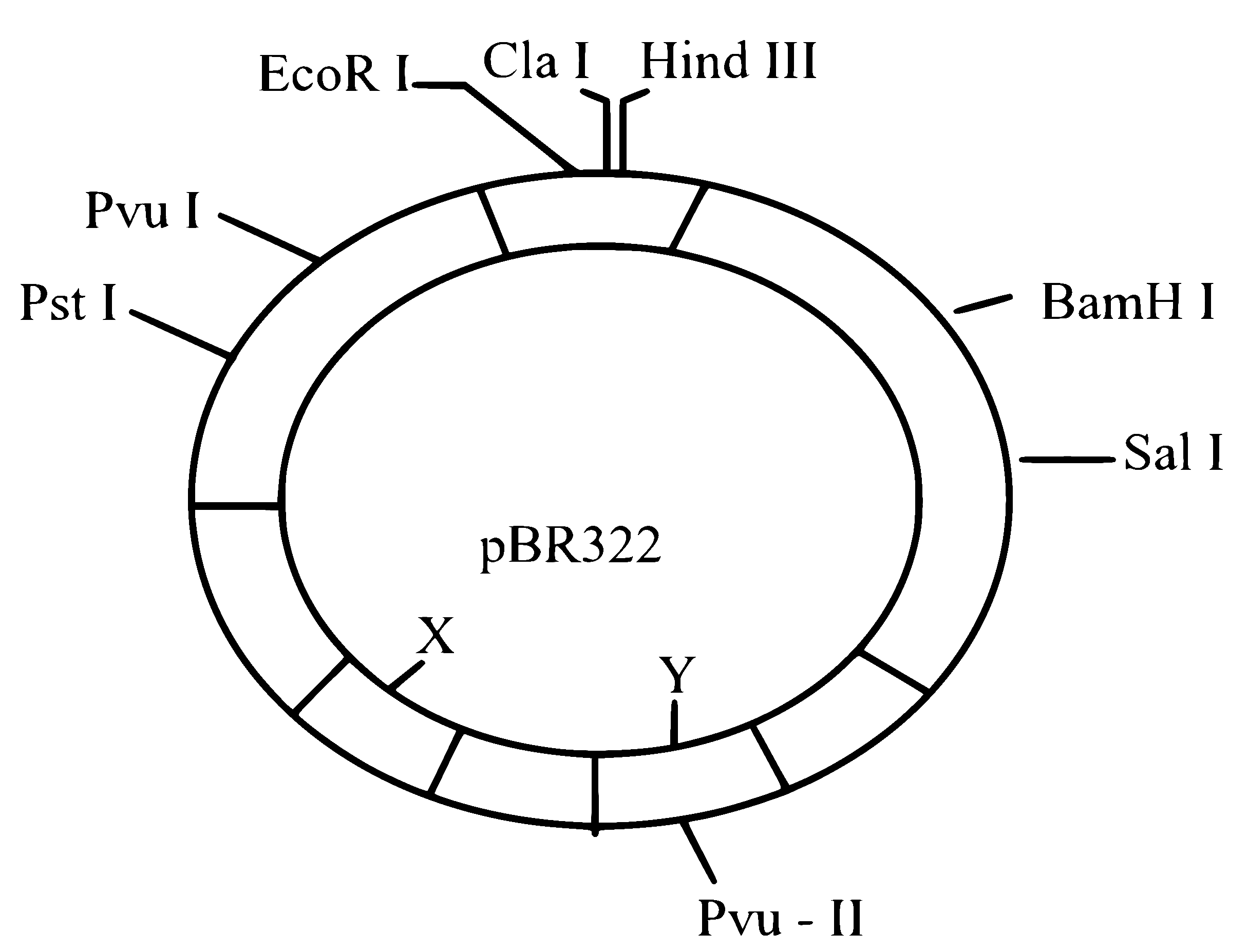 NEET 2024 Biology - Biotechnology and It's Applications Question 6 English