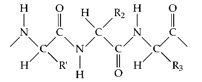 AIPMT 2004 Chemistry - Biomolecules Question 21 English Explanation