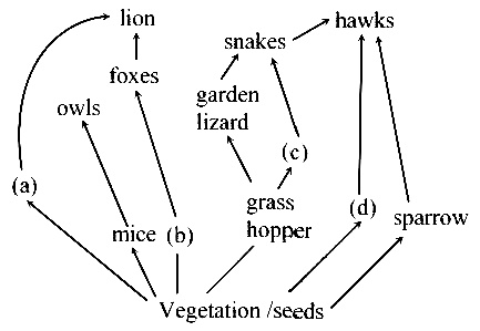 AIPMT 2012 Mains Biology - Ecosystem Question 57 English