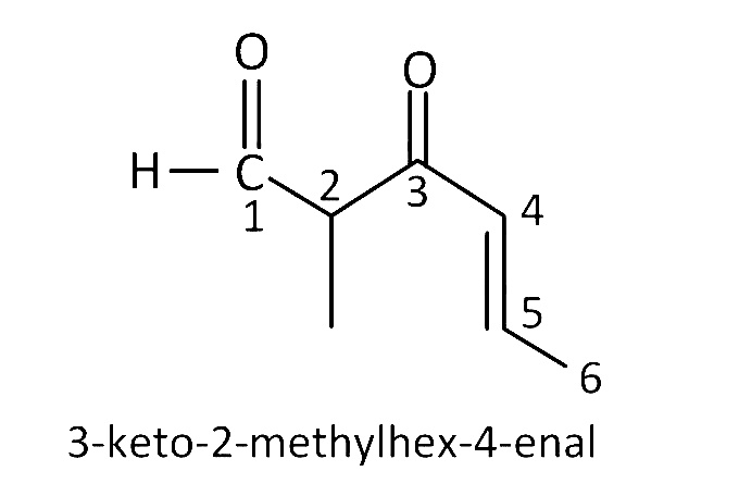 NEET 2017 Chemistry - Some Basic Concepts of Organic Chemistry Question 99 English Explanation