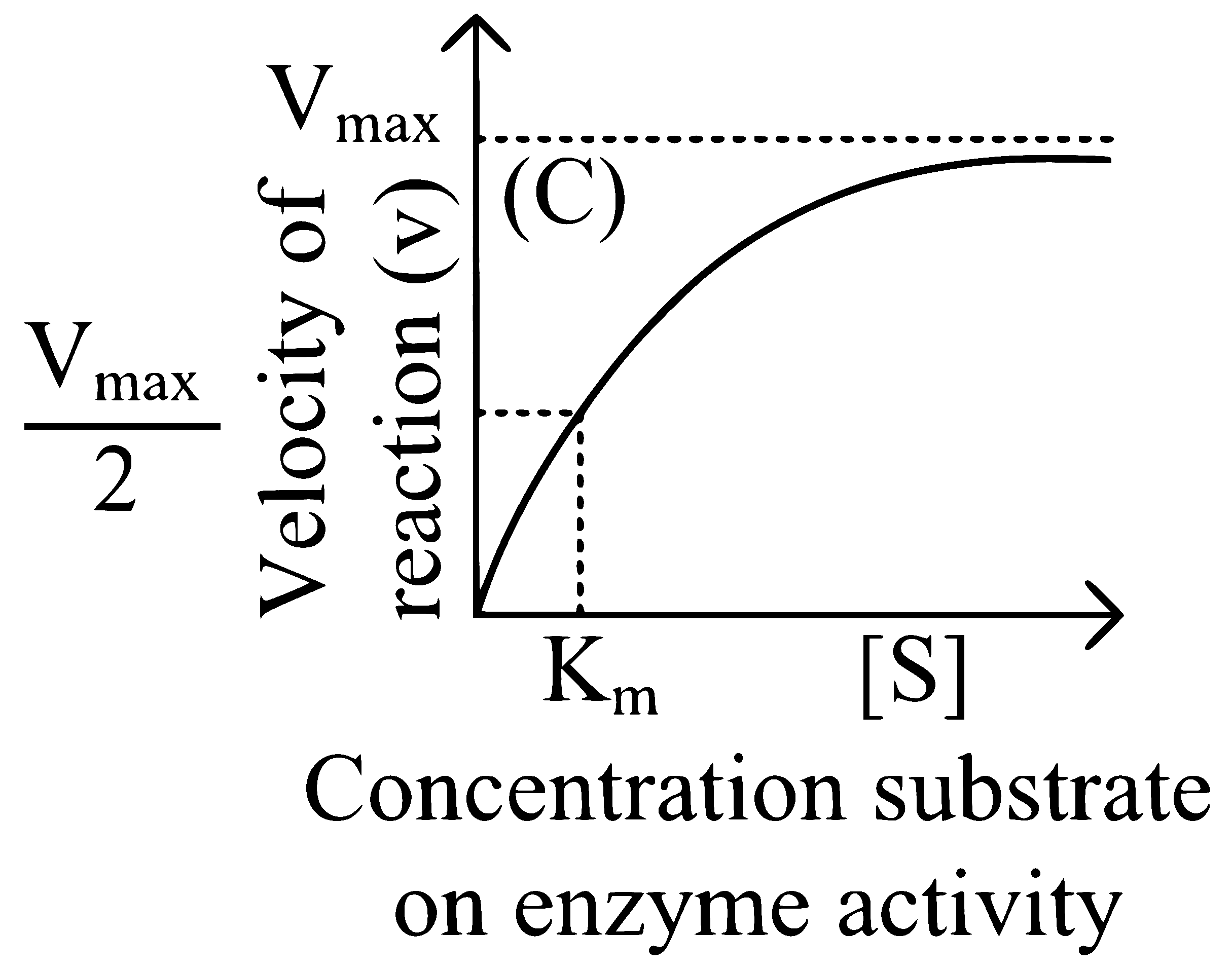 NEET 2024 (Re-Examination) Biology - Biomolecules Question 14 English Explanation