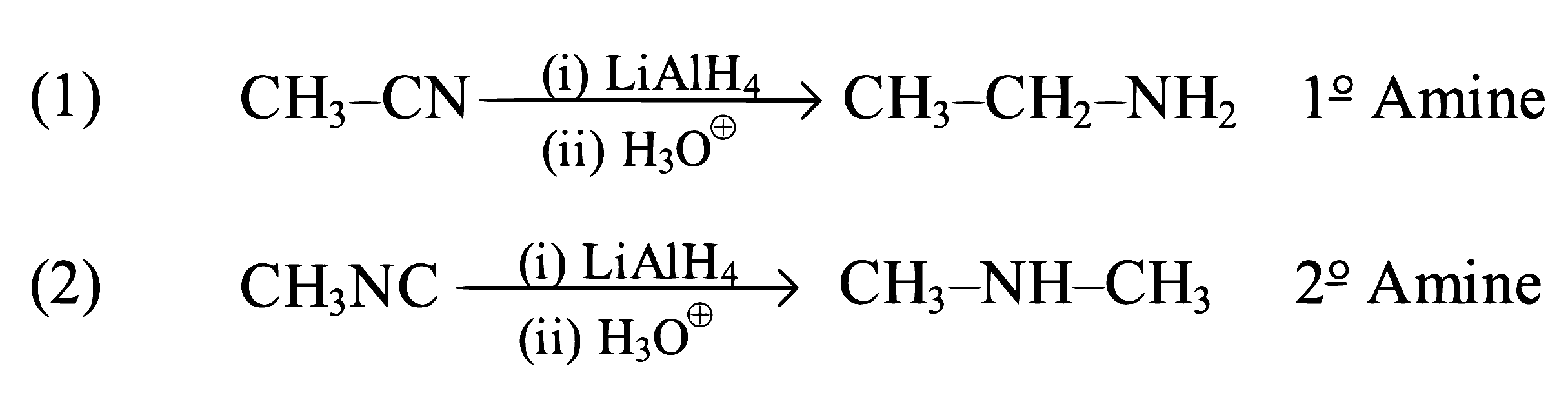 NEET 2023 Chemistry - Organic Compounds Containing Nitrogen Question 14 English Explanation 1
